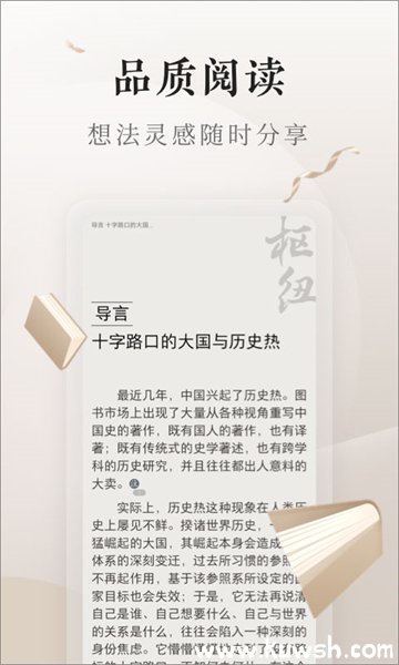 vivo������ɰ汾